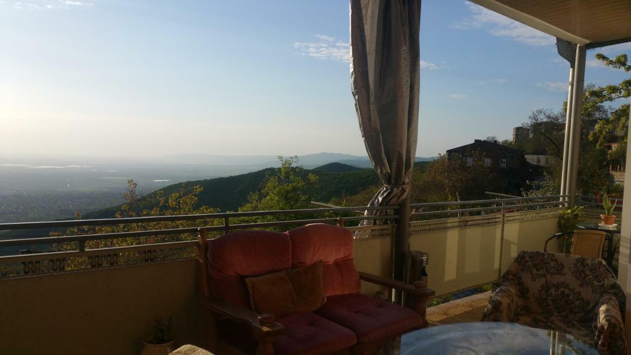 سينغناغي Guest House Evdoshvili St N5 المظهر الخارجي الصورة