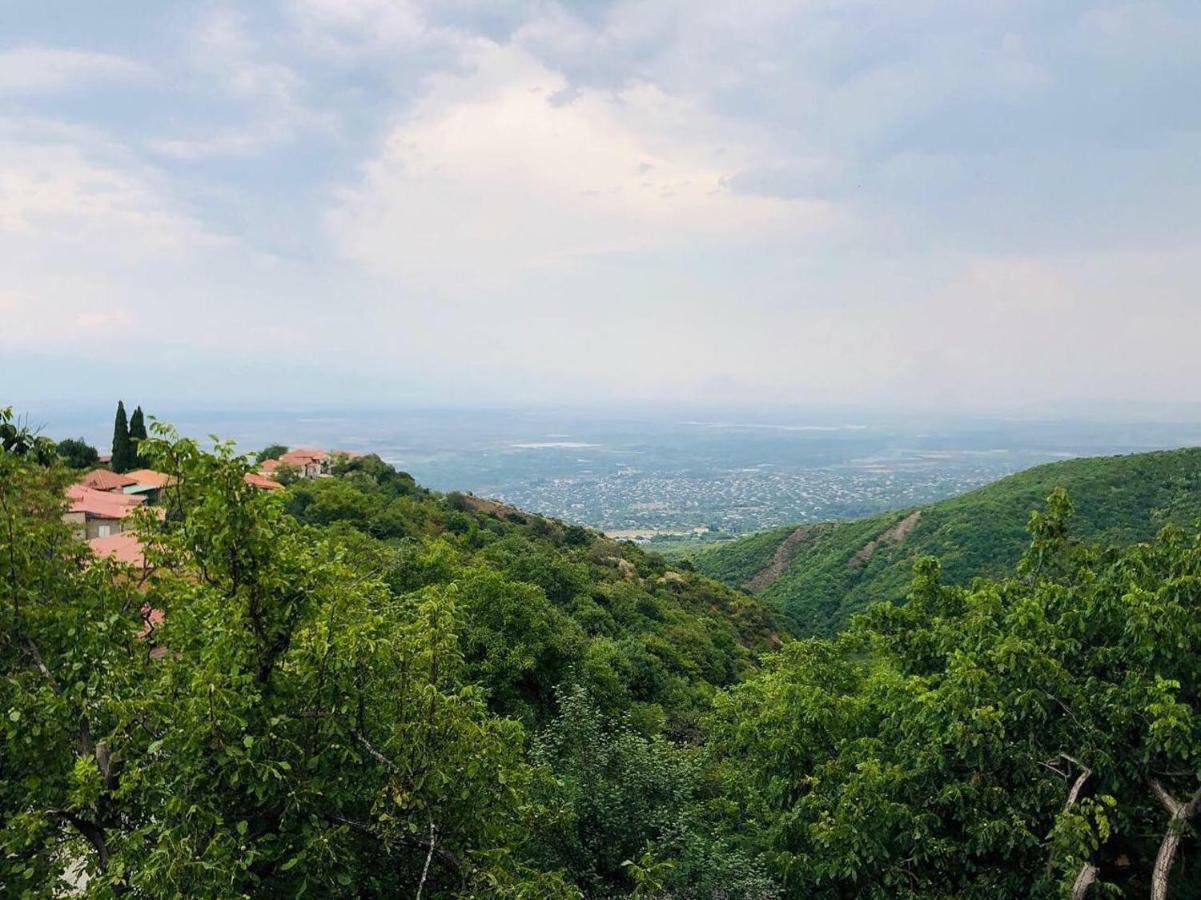 سينغناغي Guest House Evdoshvili St N5 المظهر الخارجي الصورة
